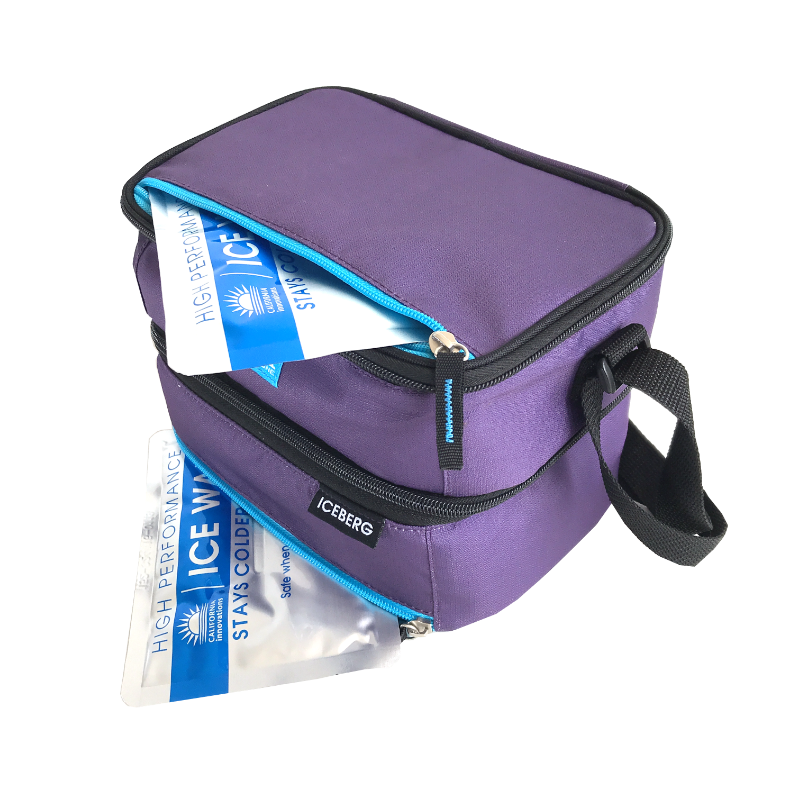 Mini Hippo - Wholesale Lunch Bag/Box - Arctic Zone Dual Compartment Lunch Pack9
