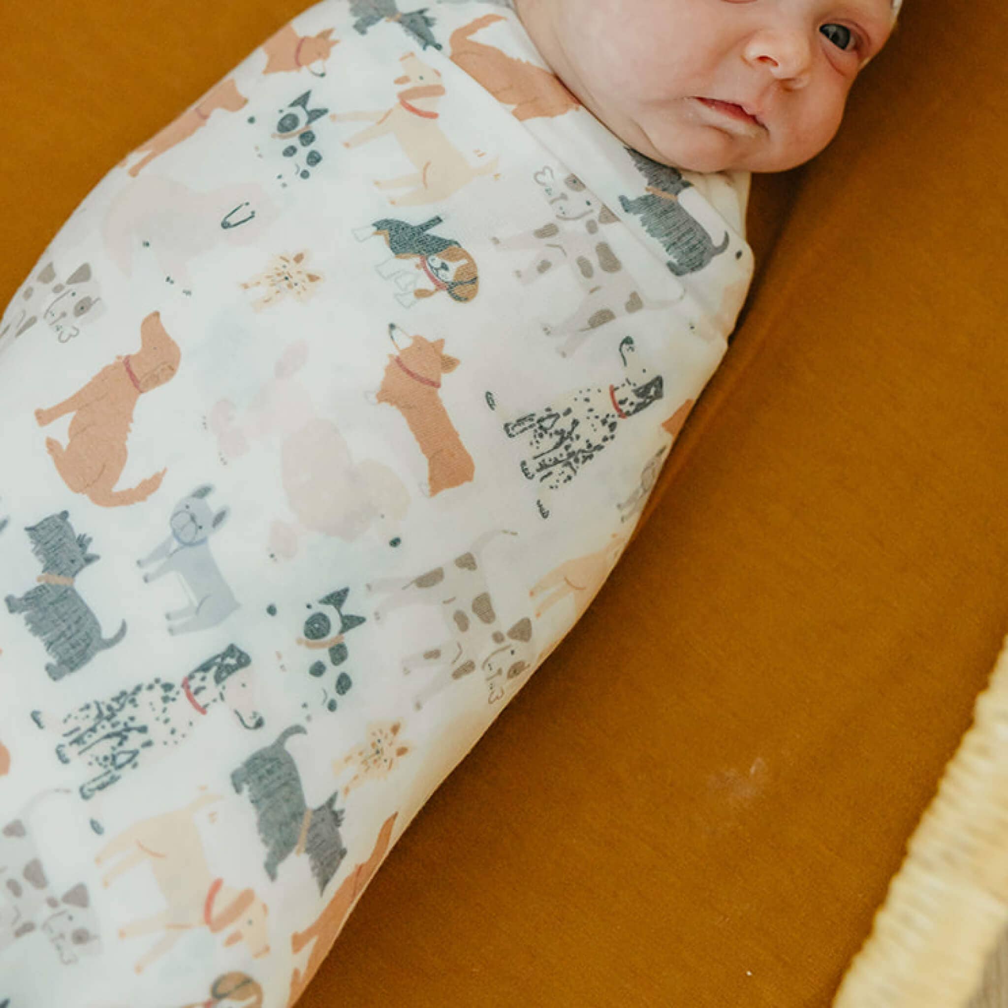 Copper Pearl - Wholesale Swaddle - Baby - Knit Swaddle Blanket - Rufus3