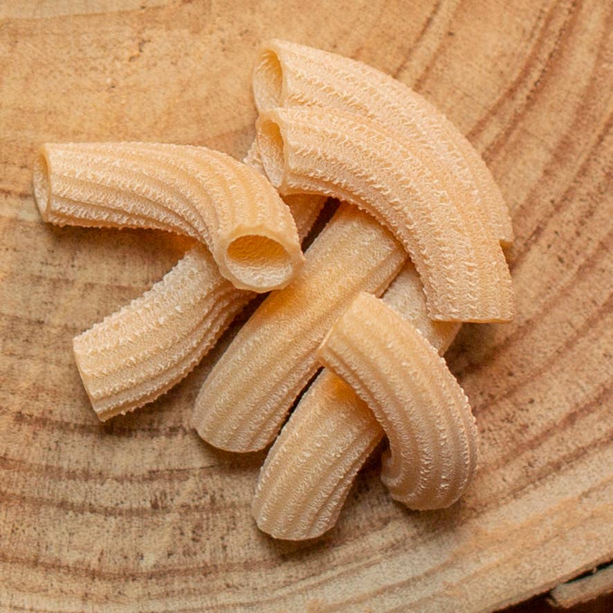 Molino Pastificio Gloria - Wholesale Pasta - STRIPED MACARONI 500g1