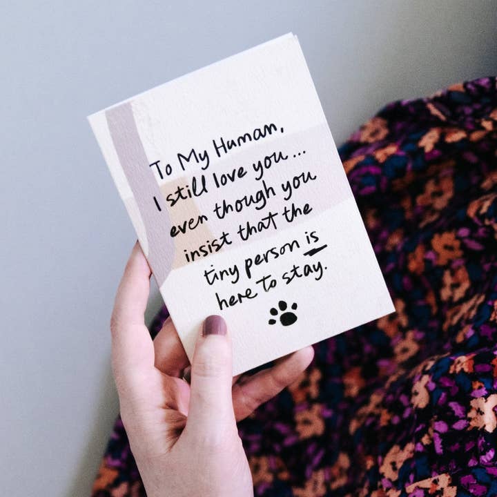 I am Nat Ltd - Wholesale Love Card - Funny Card from the Dog or Cat - I Still Love You5