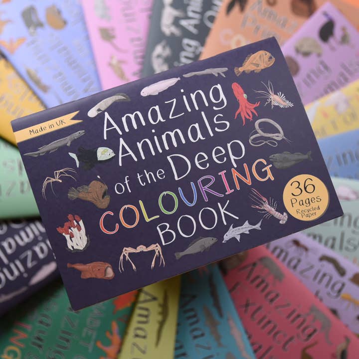 Amazing Animals of the Deep Colouring Book for wholesale by Button & Squirt