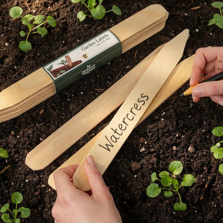 GÄRTNER-BASICS - PACKUNG MIT 10 X 30CM HOLZSCHILDERN für den Großhandel von Sting in the Tail Ltd