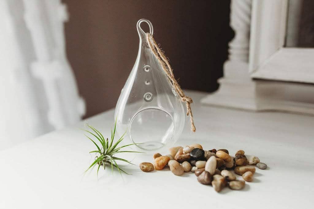 The Simply Crafty Shop - Wholesale Terrarium - Pear Shape Terrarium Kit- Semi-Precious Stone39