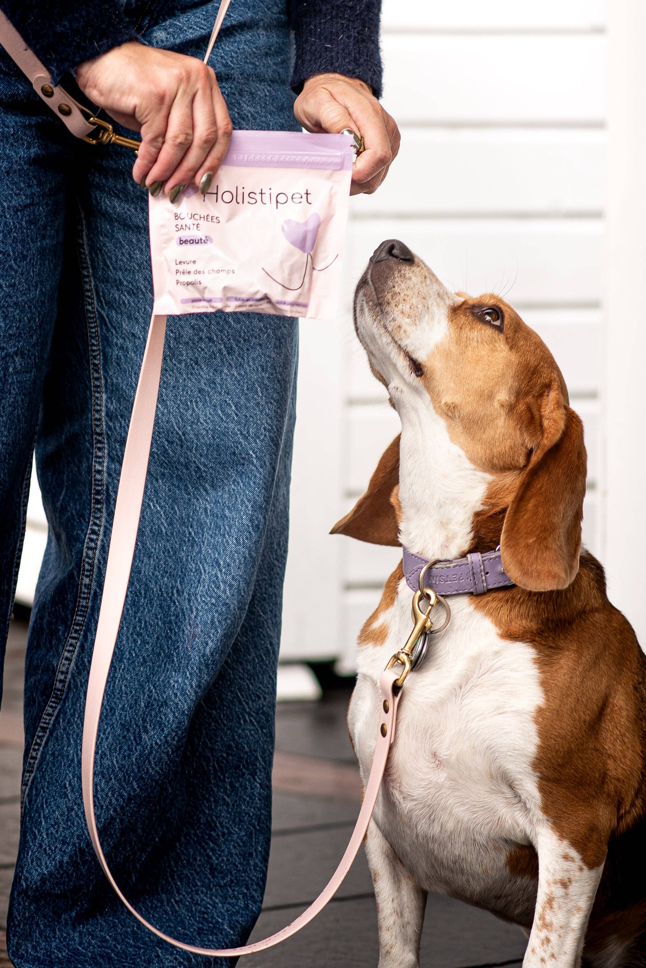 HOLISTIPET - Wholesale Pet Treats - Dog - Skin & Hair Beauty Bites1