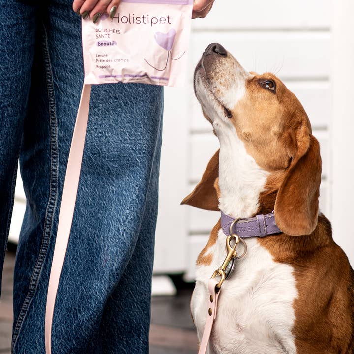 HOLISTIPET - Wholesale Pet Treats - Dog - Skin & Hair Beauty Bites1