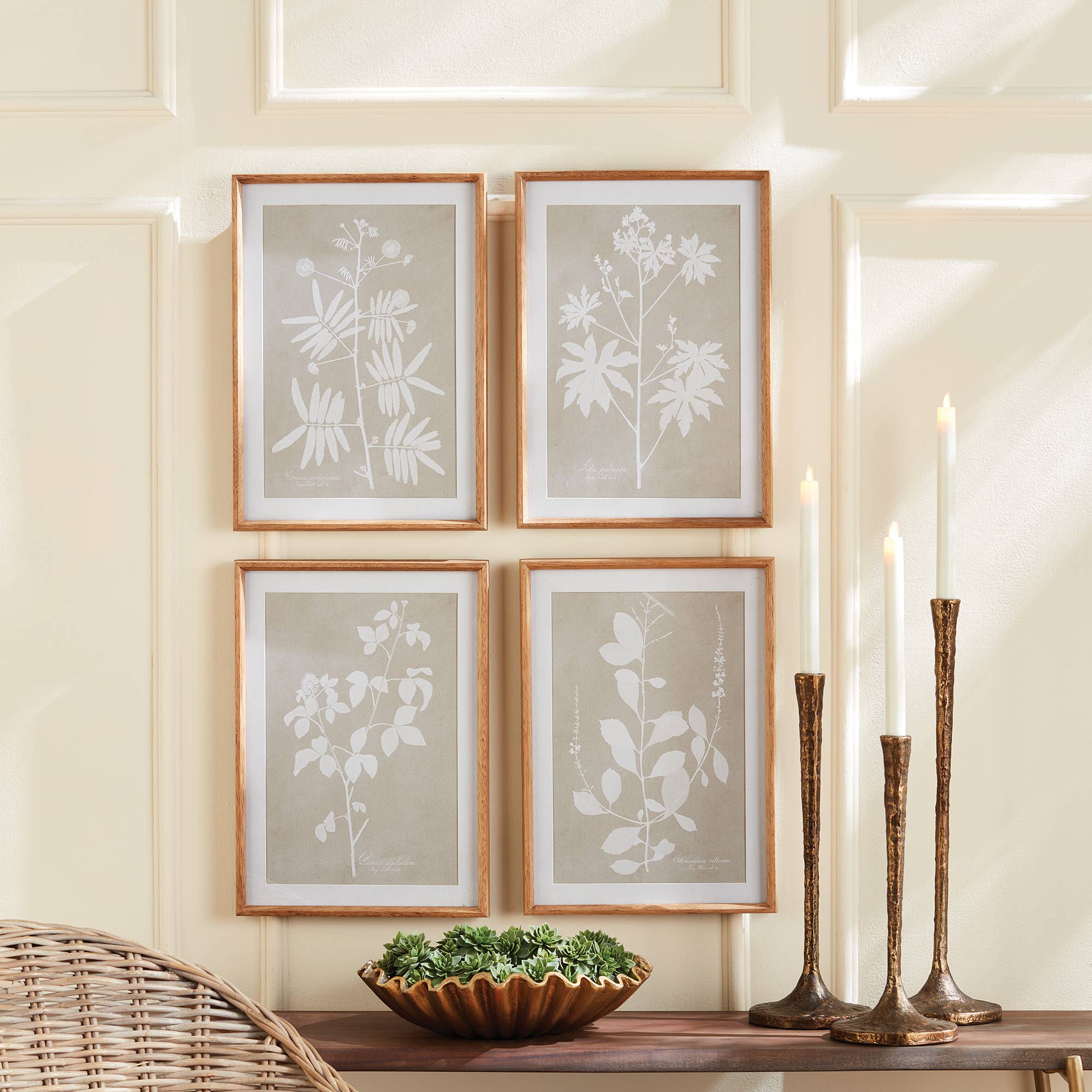 Napa Home & Garden – wholesale Gallery wall set – Foliage Study, Set Of 42