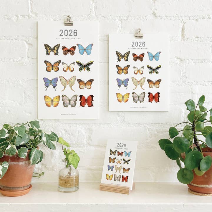 2026 Calendars: Butterflies & Moths for wholesale by Yeesan Loh