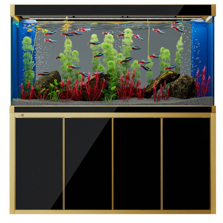 Aqua Dream Aquarium en Verre Trempé 250 Gallons Noir et Or pour la vente par AQUA DREAM