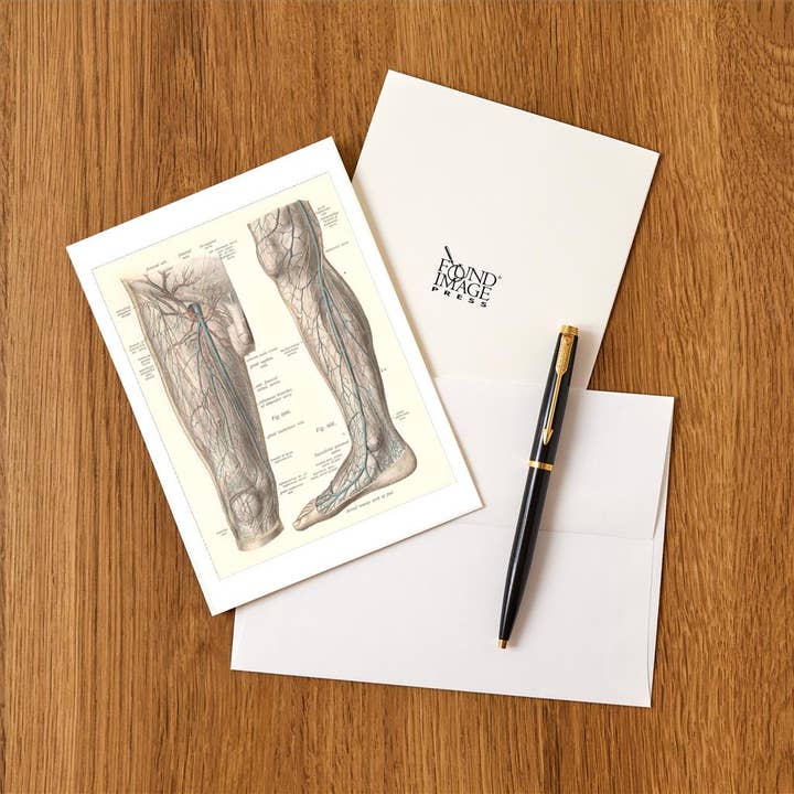Found Image Press - Vente Assortiments de papeterie/cartes - Carte de vœux AY-152 Système veineux de la jambe