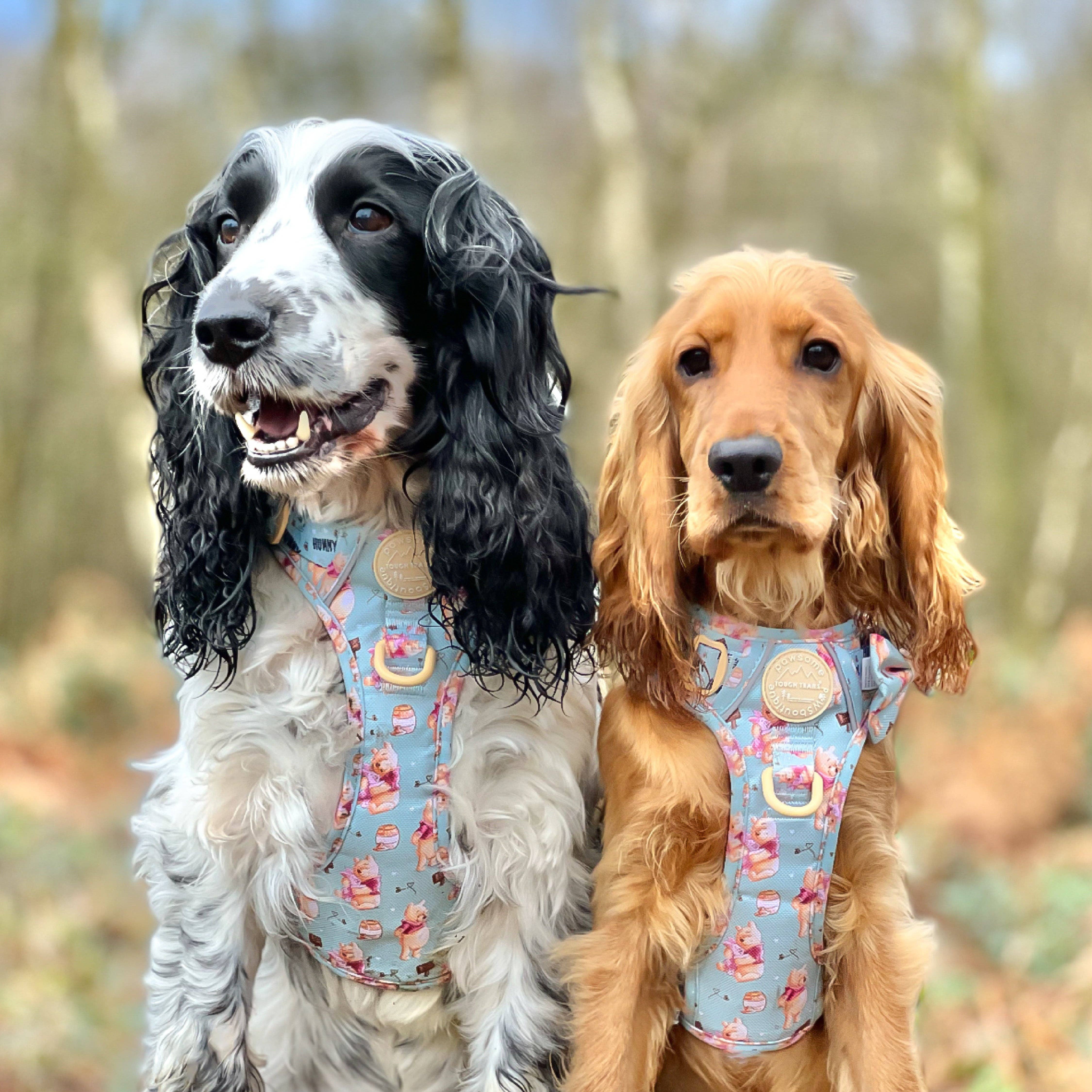 Pawsome Paws – Großhandel Haustiergeschirr – Hund – Disney© Tough Trails™ Geschirr – Winnie Puuh38