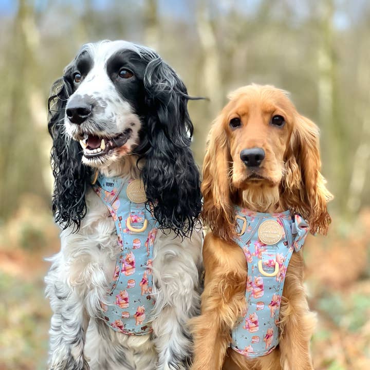 Pawsome Paws – Großhandel Haustiergeschirr – Hund – Disney© Tough Trails™ Geschirr – Winnie Puuh38