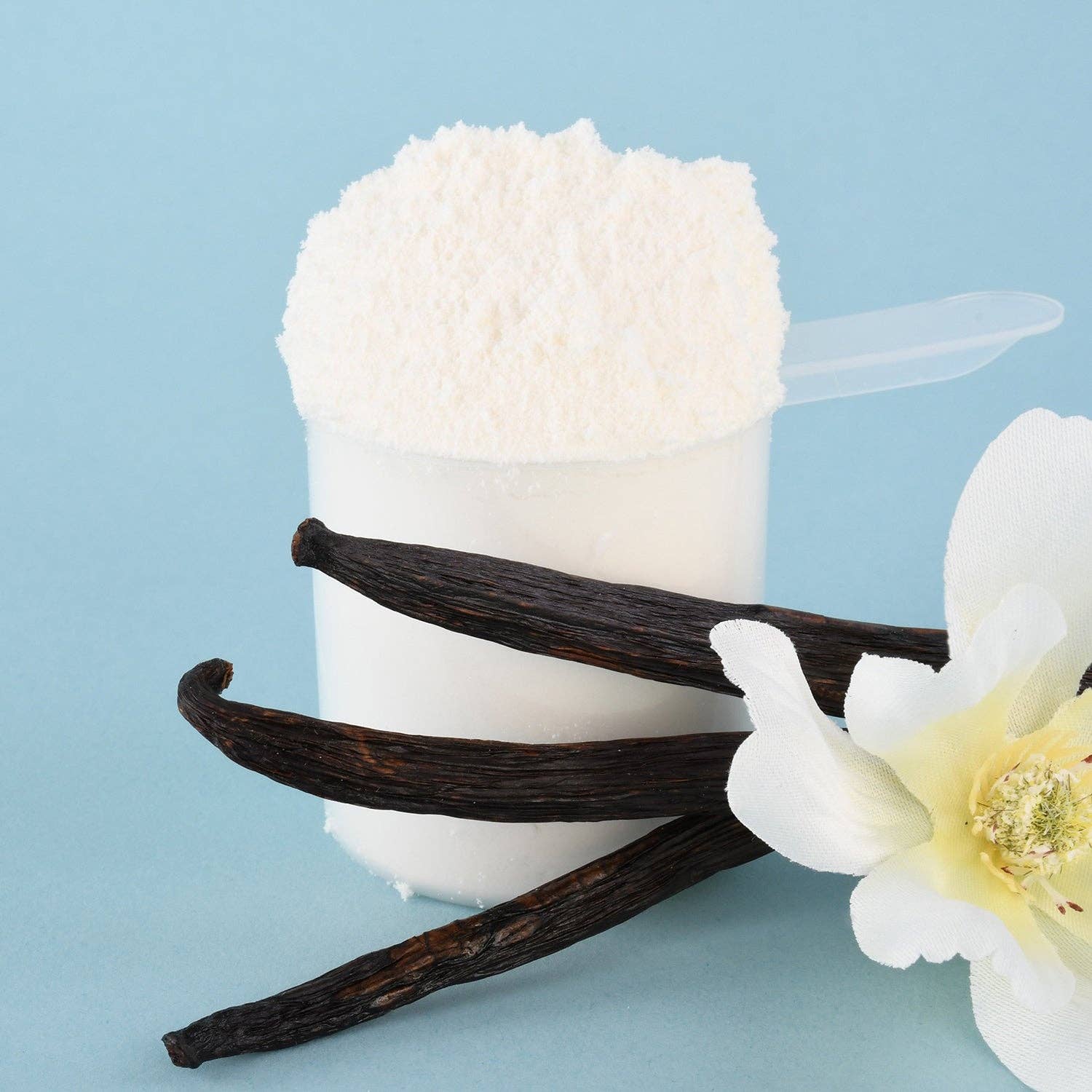 Earth Fed Muscle - Wholesale Protein/Superfood Powder - Whey Back Vanilla Grass-Fed Whey Protein5