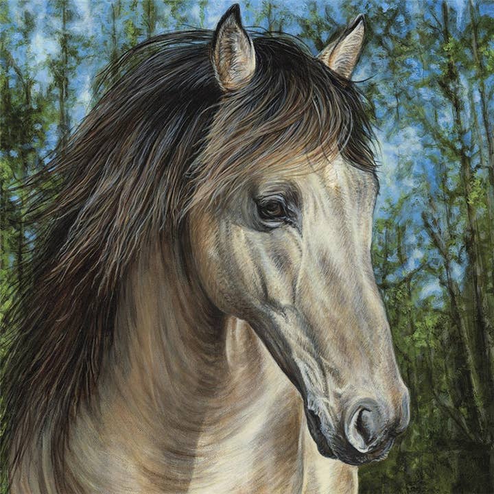 Wenskaart Rocky Mountain Hengst voor wholesale door Natural Partners Limited