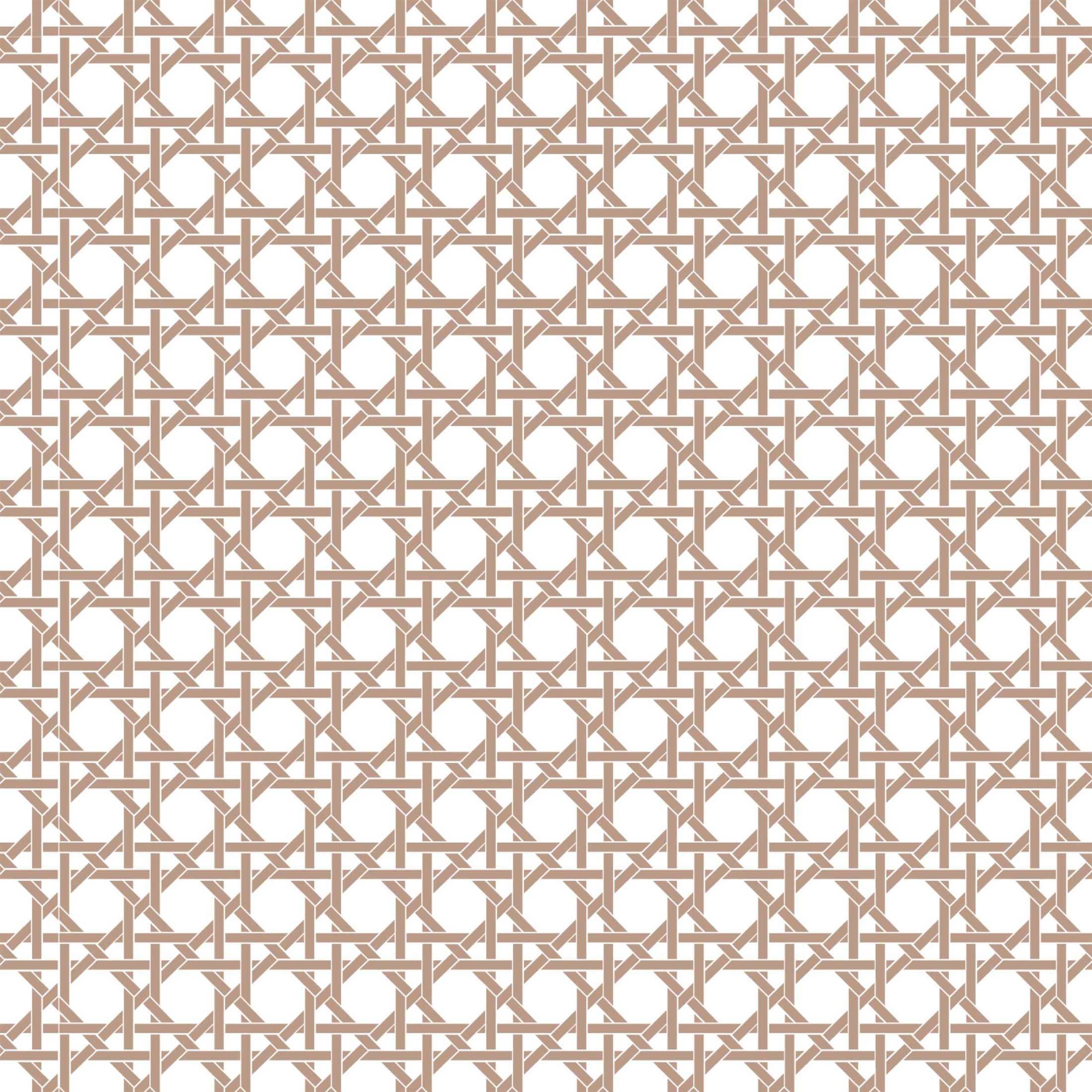 Beau Bottles - Vente Pochette cadeau pour bouteille de vin - Beau Bouteilles Canne Brune et Blanche – Collection Champagne4