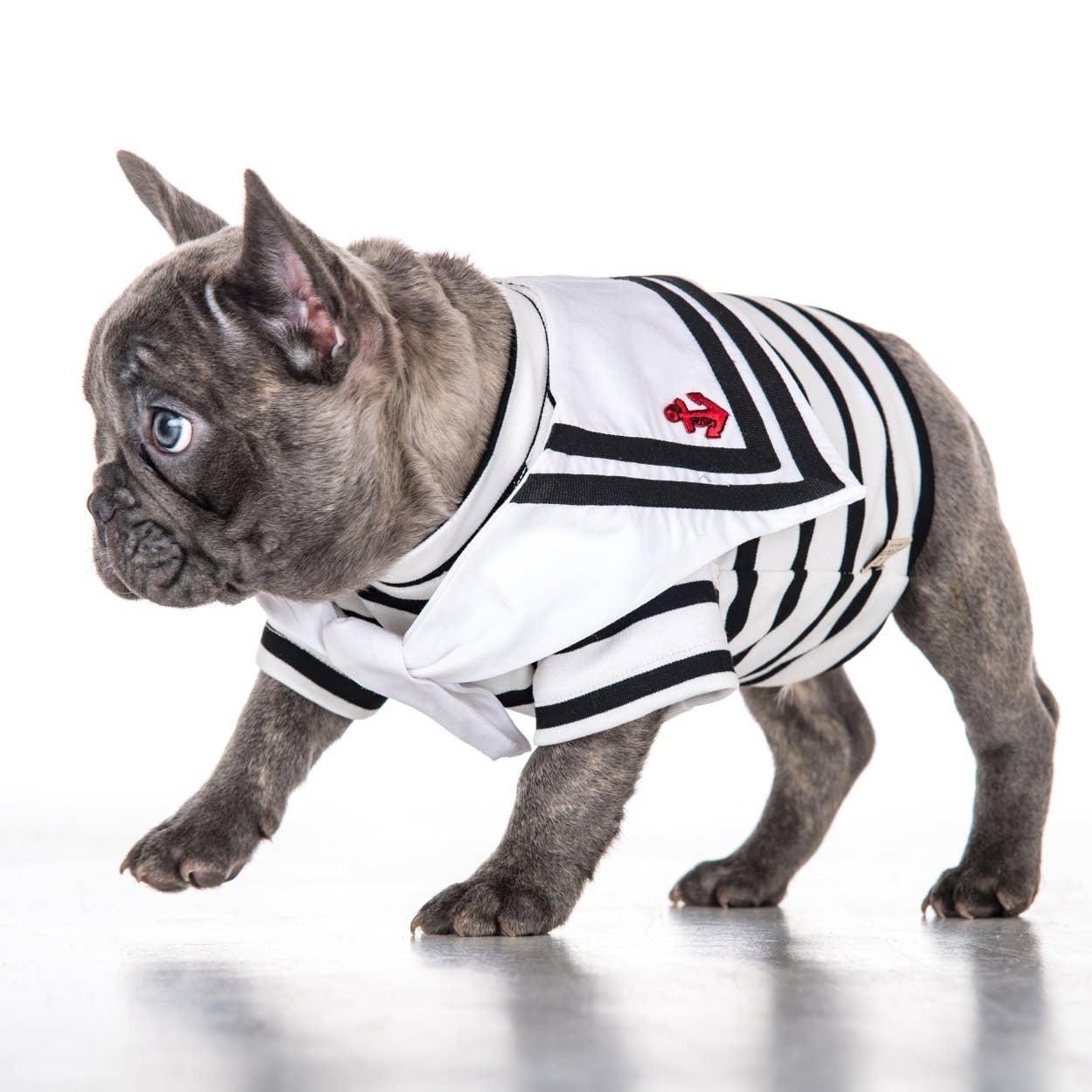 Le Calicó - Wholesale Pet Shirt - Dog - Alta Moda - Venezia T-shirt3