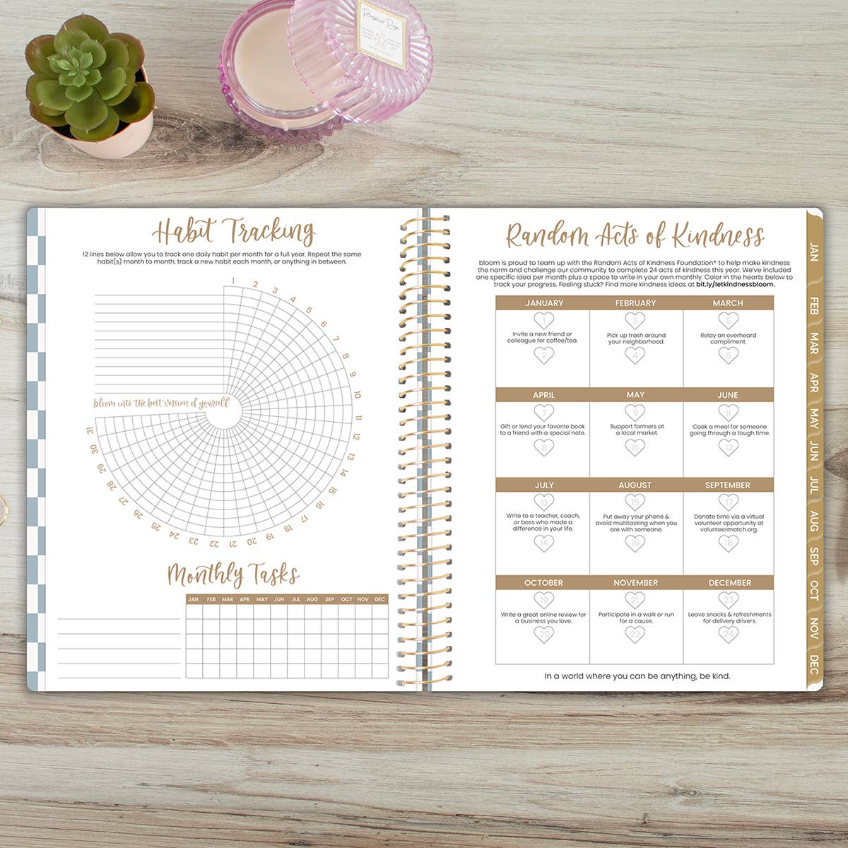 bloom daily planners - Wholesale Planner - 2026 Soft Cover Planner - 8.5" x 11" size34