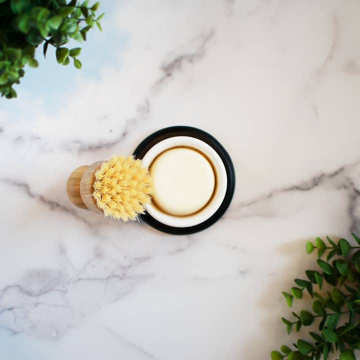 Solid Dish Soap for wholesale by True Roots Collaborative
