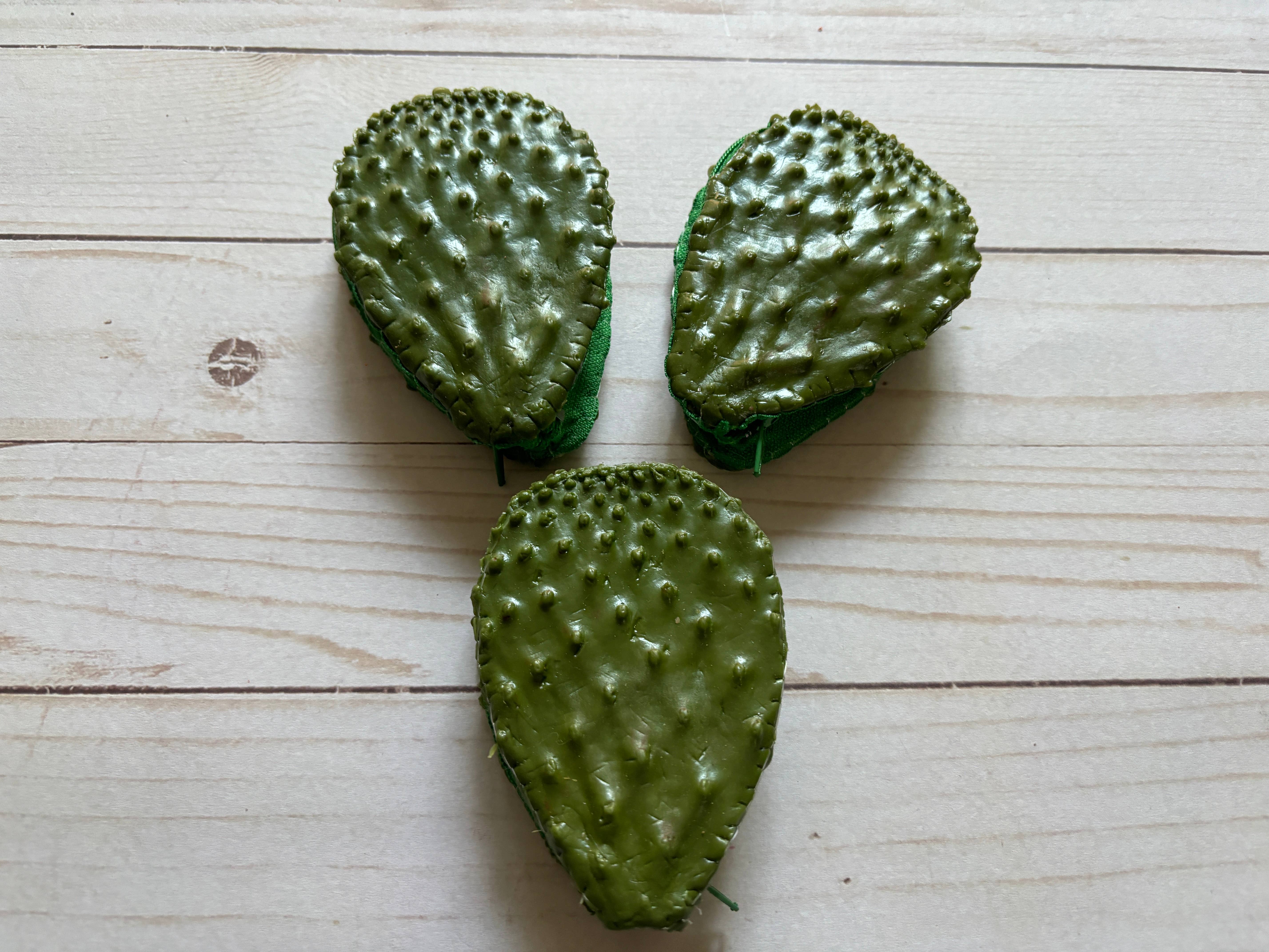 Viva Greetings - Wholesale Portemonnee - Dames - One Gag Muntportemonnee Nopal Cactus1