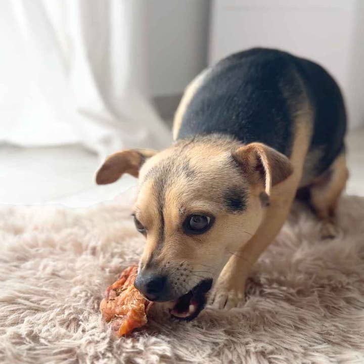 Truffe Délice - Wholesale Pet Treats - Dog - Turkey fillets1