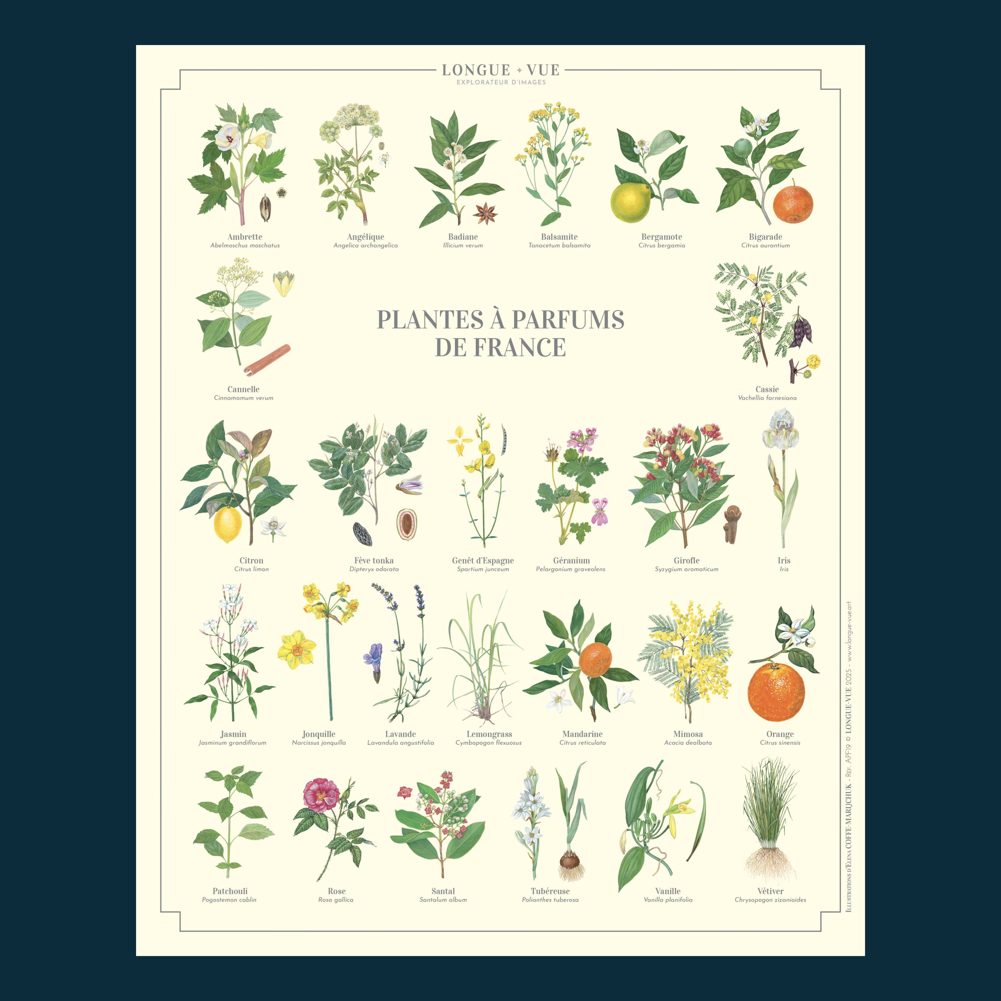 Longue-vue - Wholesale Poster - Fragrant Plants of France - Poster2