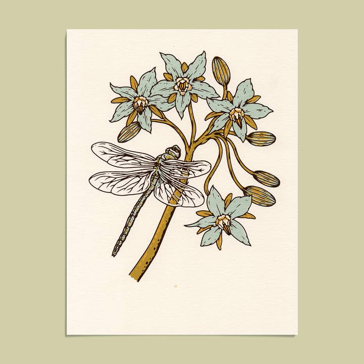 Dragonfly 6x8" Giclee Print for wholesale by Mustard Beetle