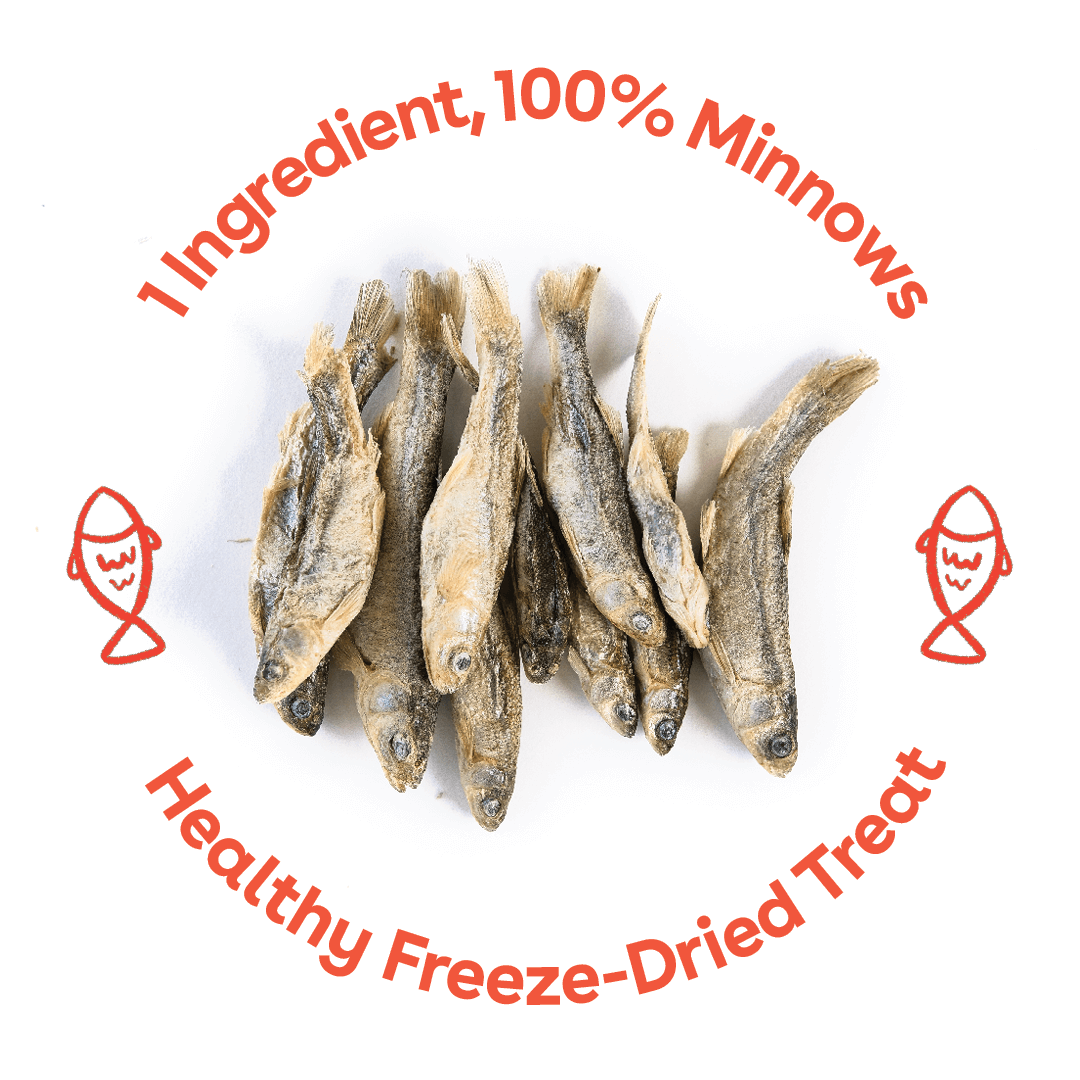 Pupford - Wholesale Pet Treats - Dog - Freeze Dried Minnows 1.5oz1