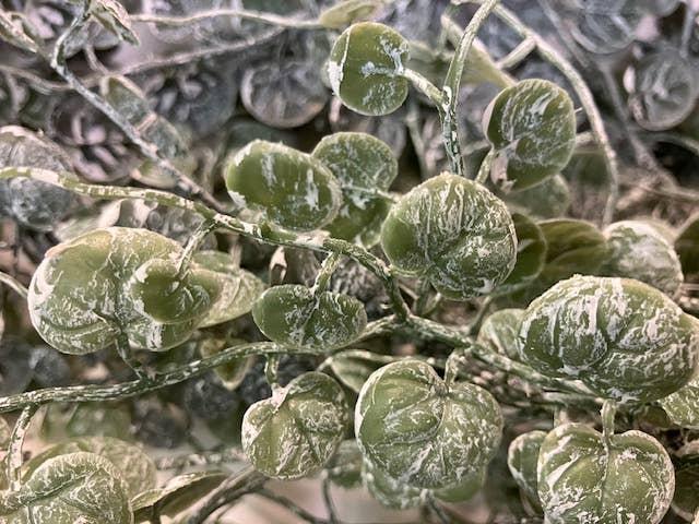 Will's Company - Wholesale Artificial Plant - 'Weathered' Button Leaf Hanging Bush - 38"1