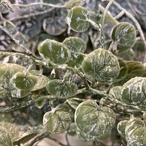 Will's Company - Wholesale Artificial Plant - 'Weathered' Button Leaf Hanging Bush - 38"1