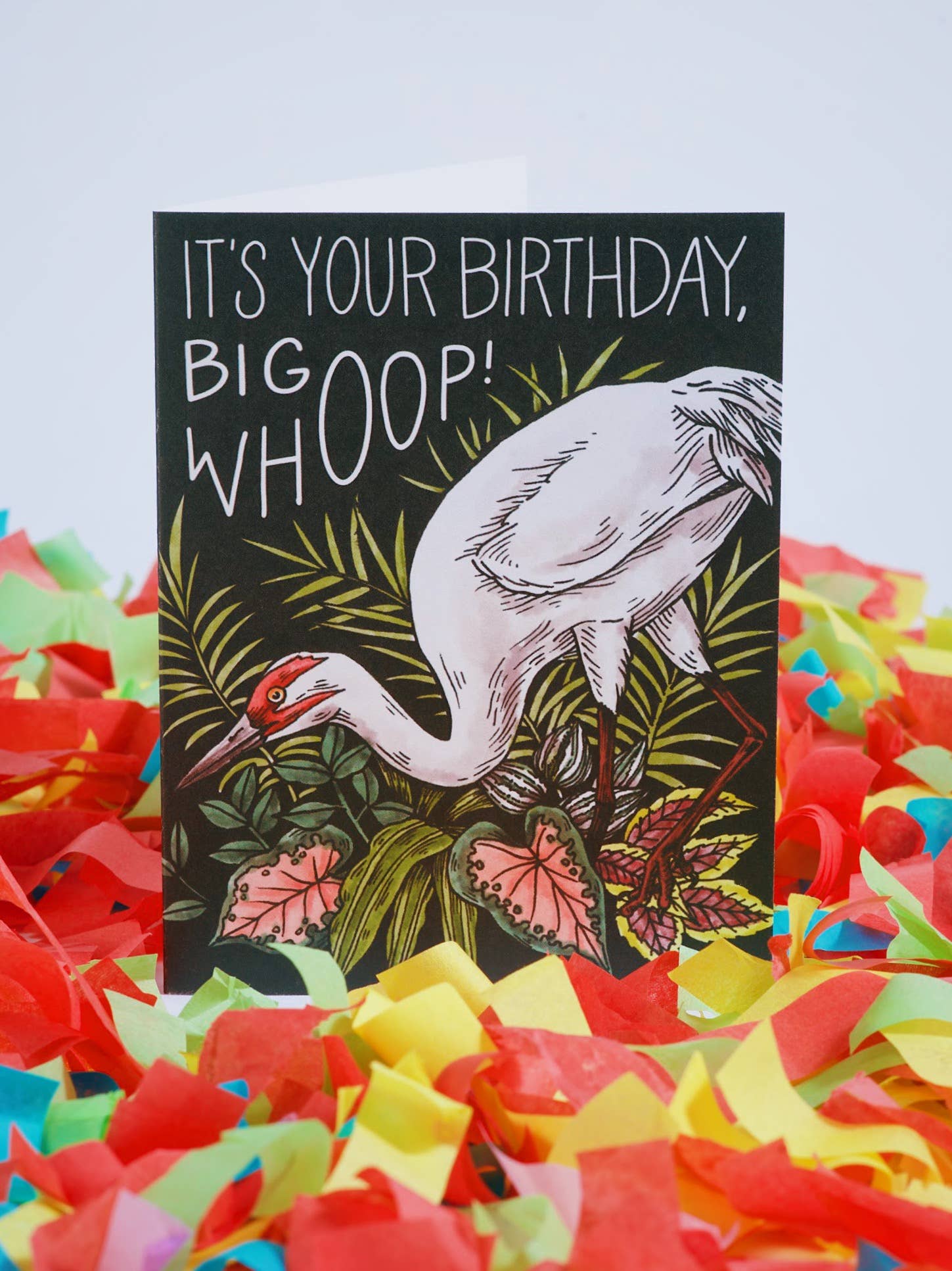 Mattea - Wholesale Birthday Card - It's Your Birthday, Big Whoop! Card1