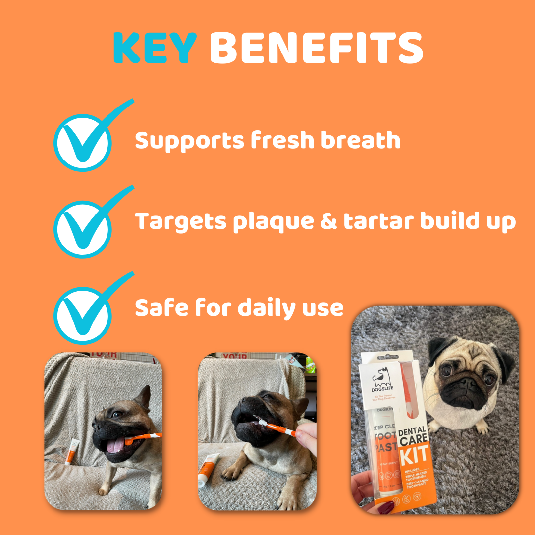 OurPetsLife - Vente Dentifrice – chien - Set de dentifrice et brosse à dents pour chien2