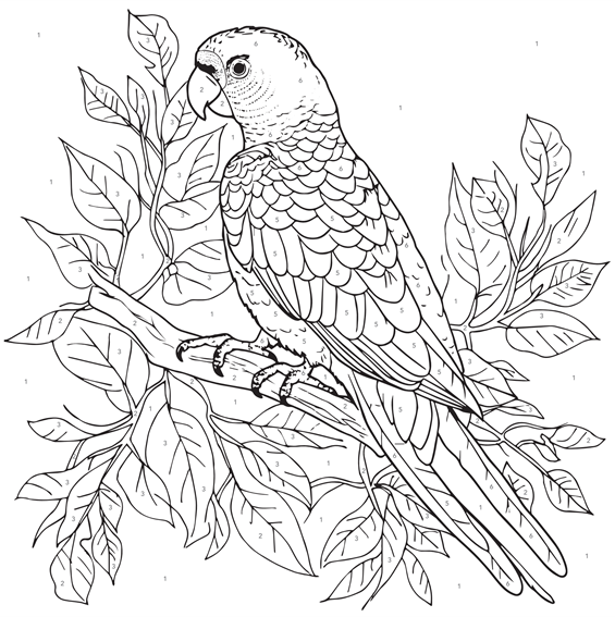 Angels Craft - Wholesale Paint Set - Canvas Paint Set - Color by Number, 11.8x11.8x0.6in0