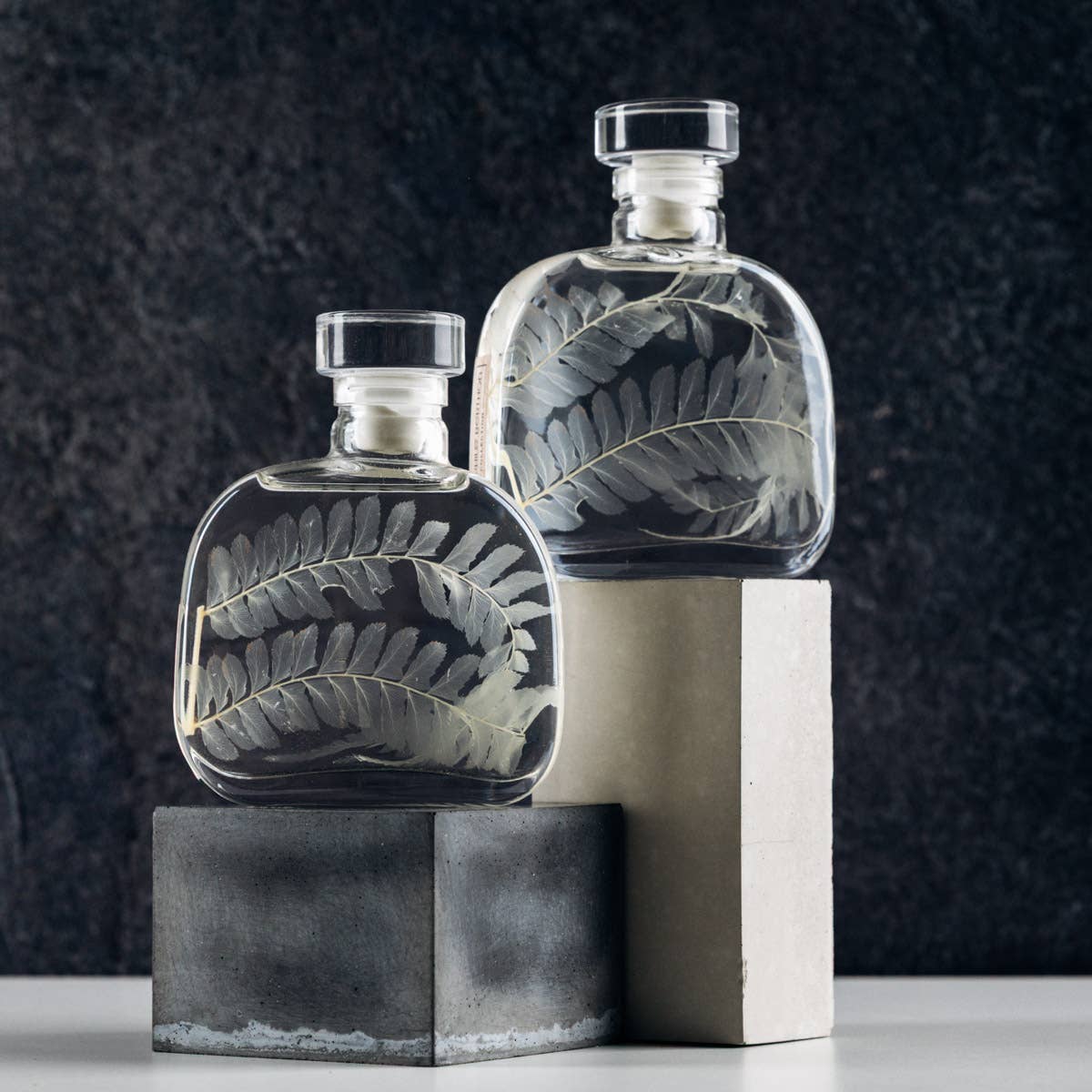 Theophile Berthon - Wholesale Live Plant - The Herbarium Capsule - White Leather Fern - Submerged Plant5