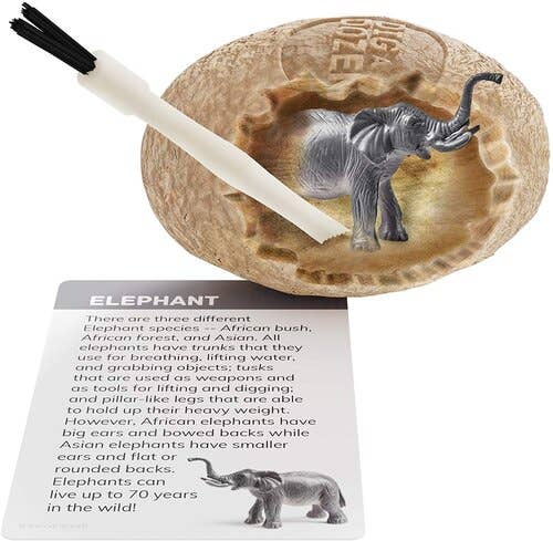 Dan&Darci - Wholesale Toy Set - Kids - Dig a Dozen Safari Animals Kit1