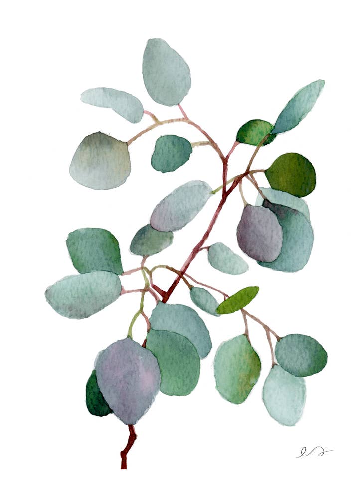 Eucalyptus Watercolor Print – Minimal Botanical Wall Art for wholesale by Art by Emma Lian
