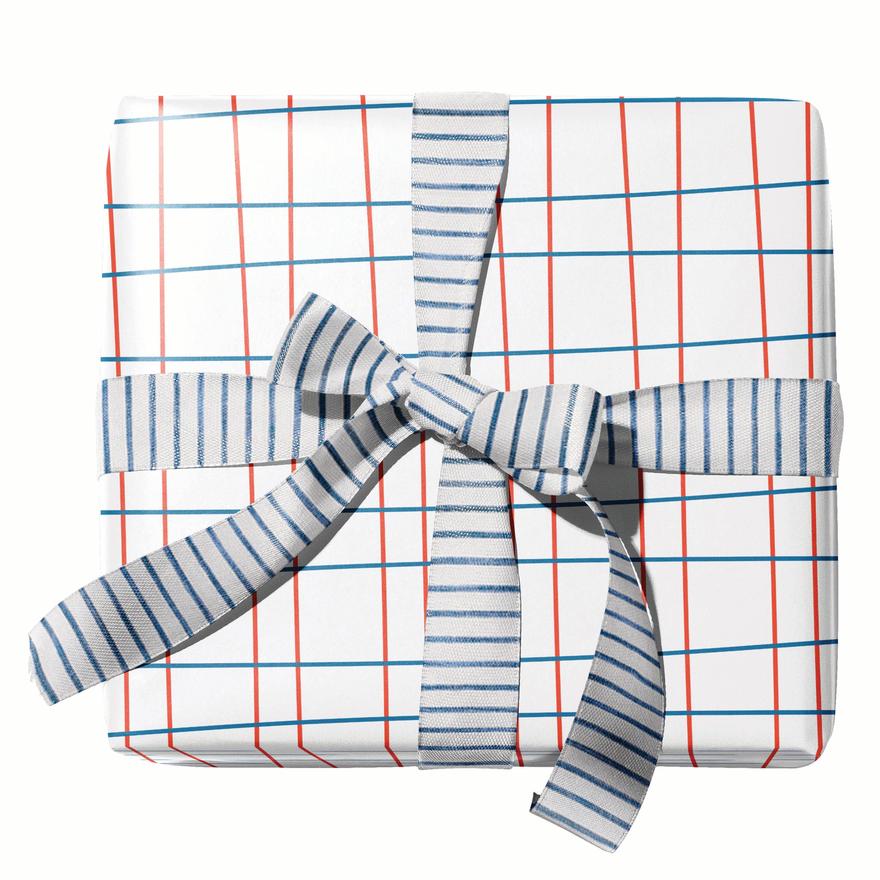 Ramus & Co. - Wholesale Wrapping Paper Roll - Ski Toile Gift Wrap Double-Sided3