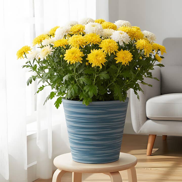 GreenShip Deep Hand Carved Band Planter, W. 12.21"x H. 10.01 for wholesale by Greenship Garden USA