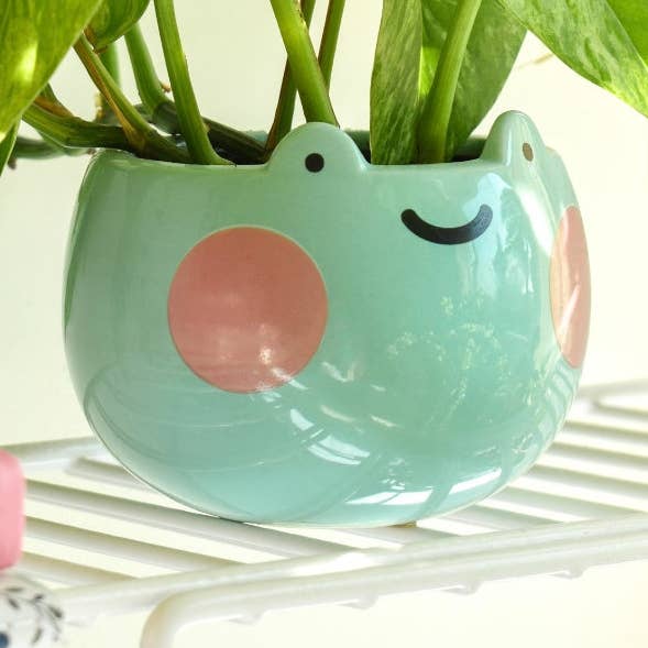 Shopzoki - Wholesale Plant Pot - Ebbo Frog Planter0