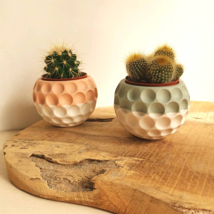 Vinci dEco - Wholesale Vase - Mini Bubble Jar Mini Cactus Ball Vase