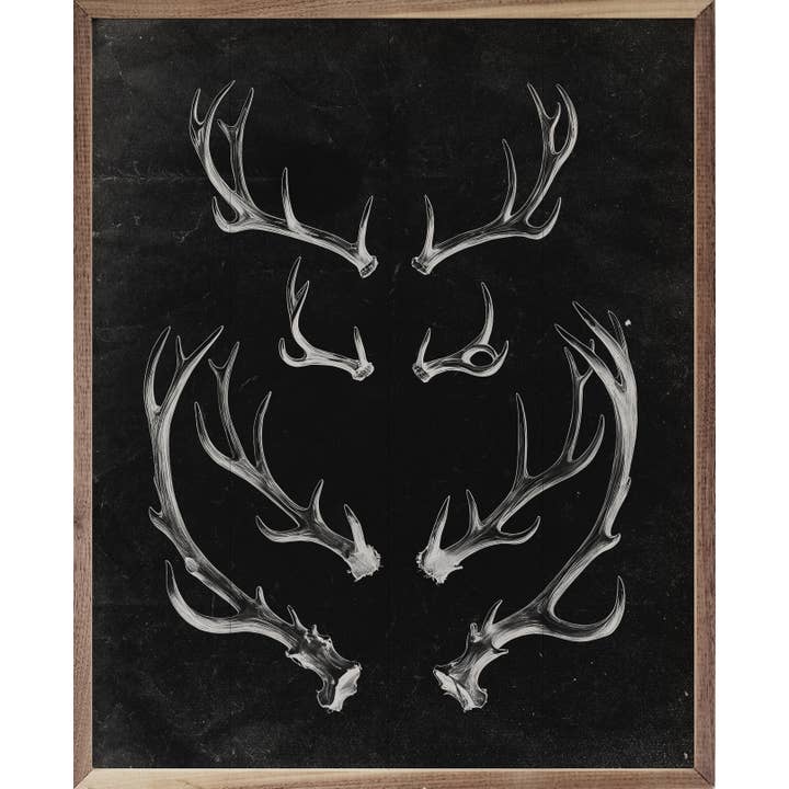 Antlers Black for wholesale by Kendrick Home