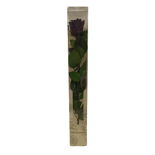 Concari.flores Preservadas - Wholesale Artificial Flowers - ROSE WITH PRESERVED STEM13