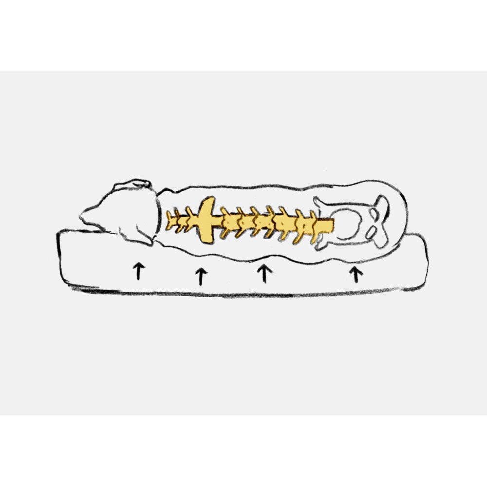 HOWLPOT. USA - Wholesale Pet Bed - Cat/Dog - Memory Foam (Night Grey)8