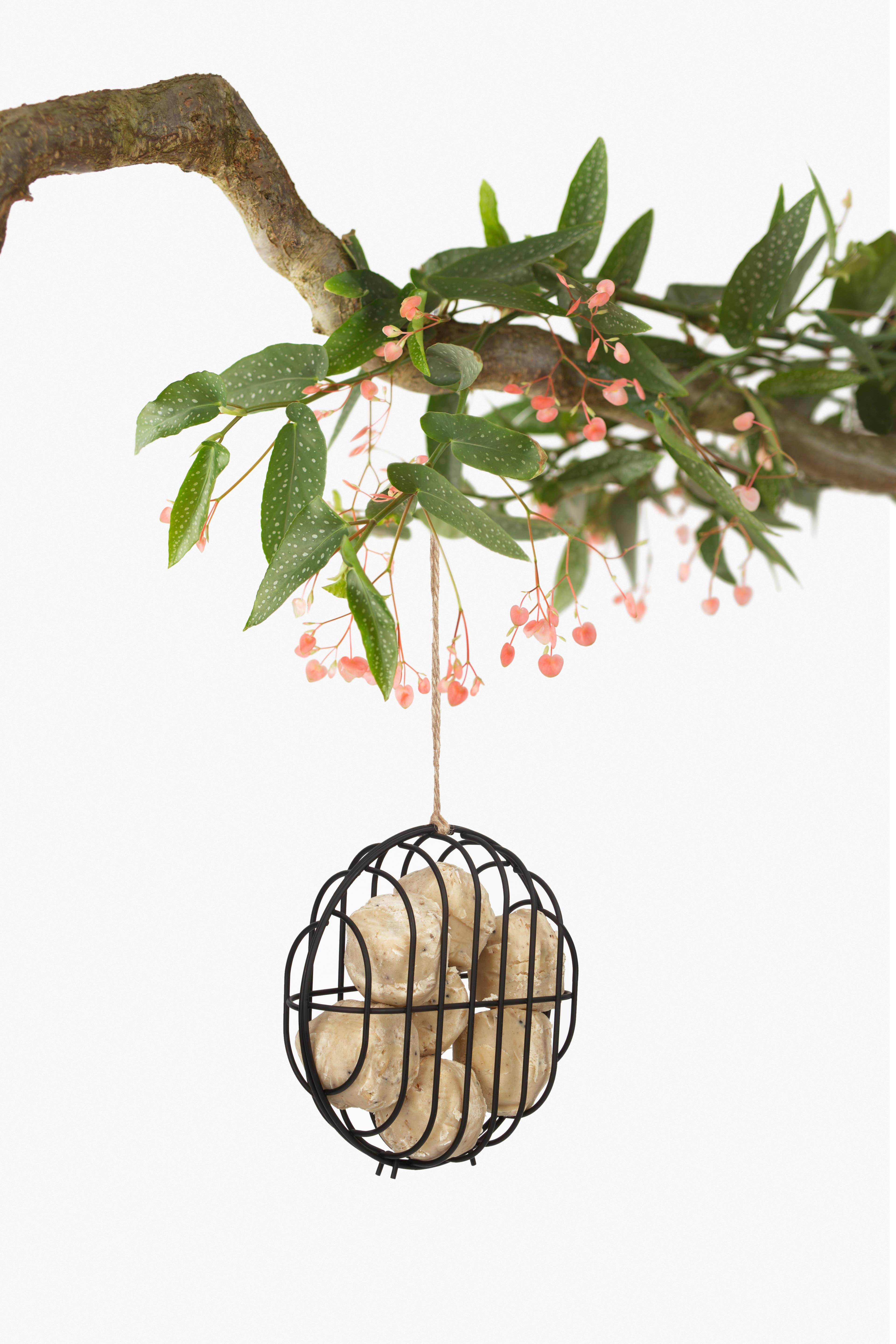 SingingFriend - Wholesale Bird Feeder - Hello Bobbie metal bird feeder0