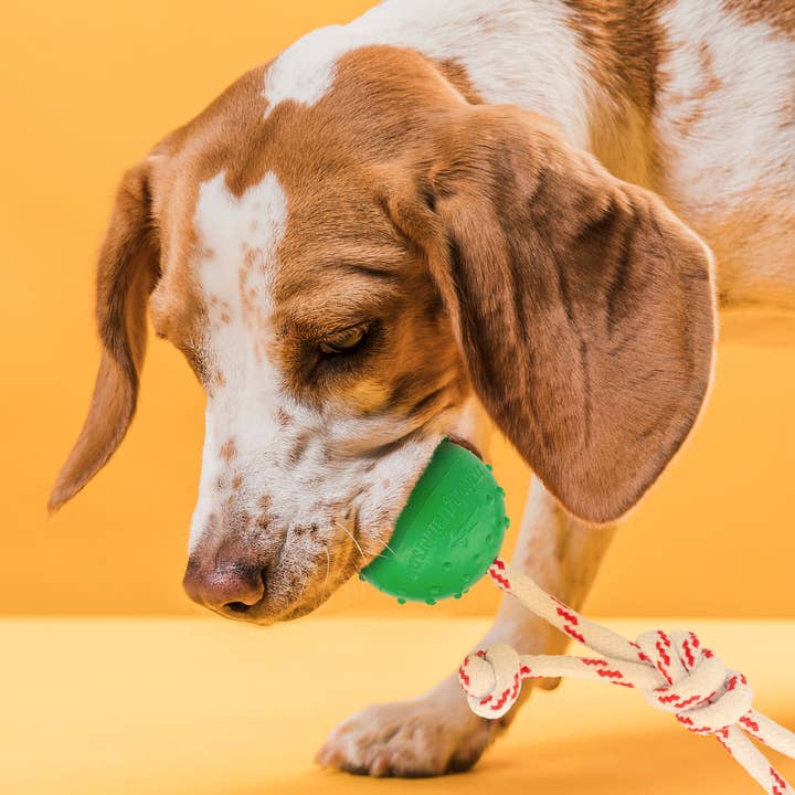 Dogline - Wholesale Pet Fetch Ball - Dog - FDT Solid Rubber Dog Ball - Water Toy with Rope