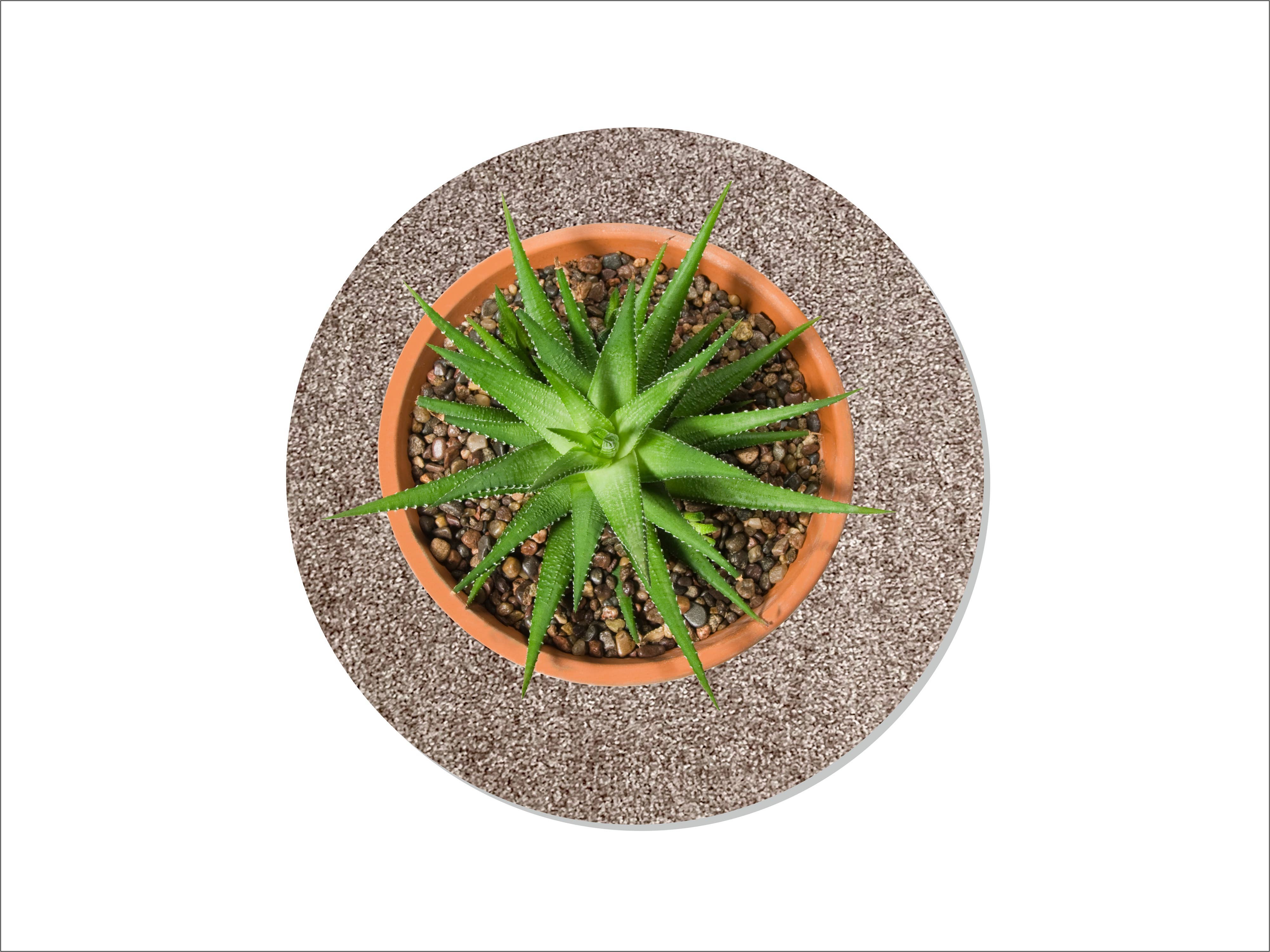 Keilbach Designprodukte - Wholesale Plant Pot - Flora7