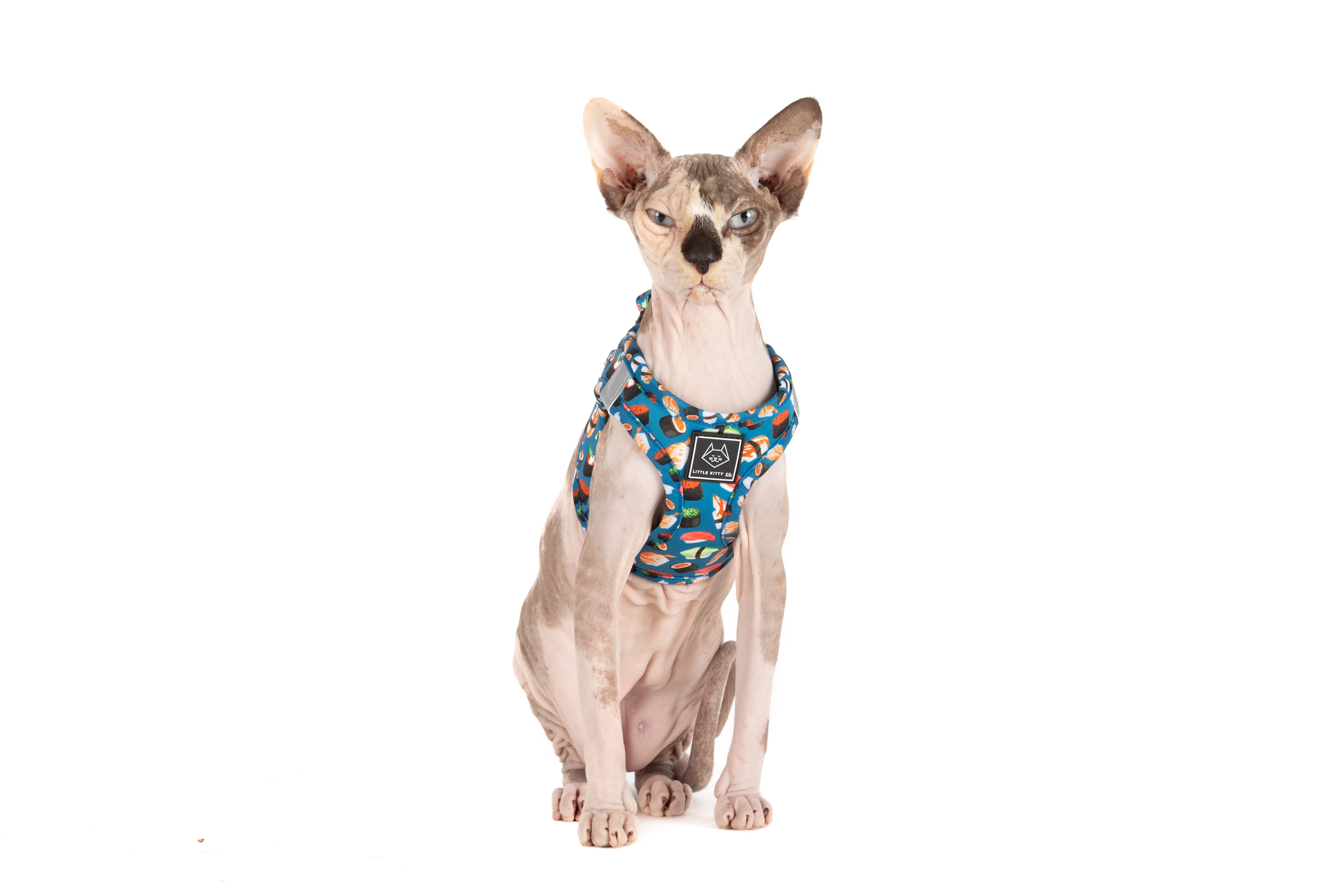 Little Kitty Co. - Wholesale Pet Harness - Cat - CAT STEP IN HARNESS: Sushi Makes Miso Happy3