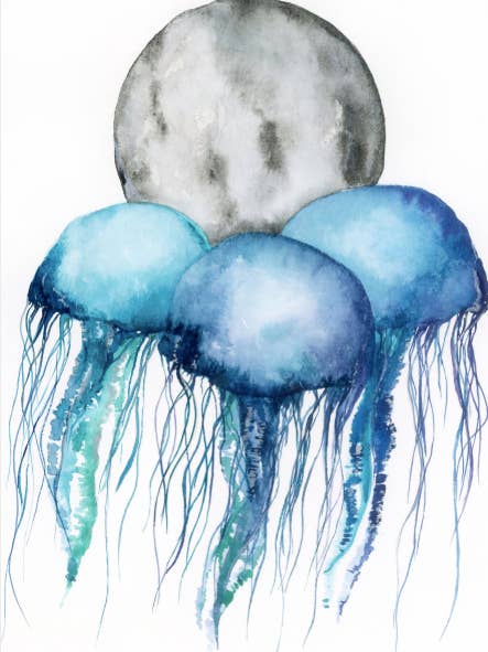 Jellies and the Moon – Watercolor Art Print for wholesale by Erin Hellmann Art