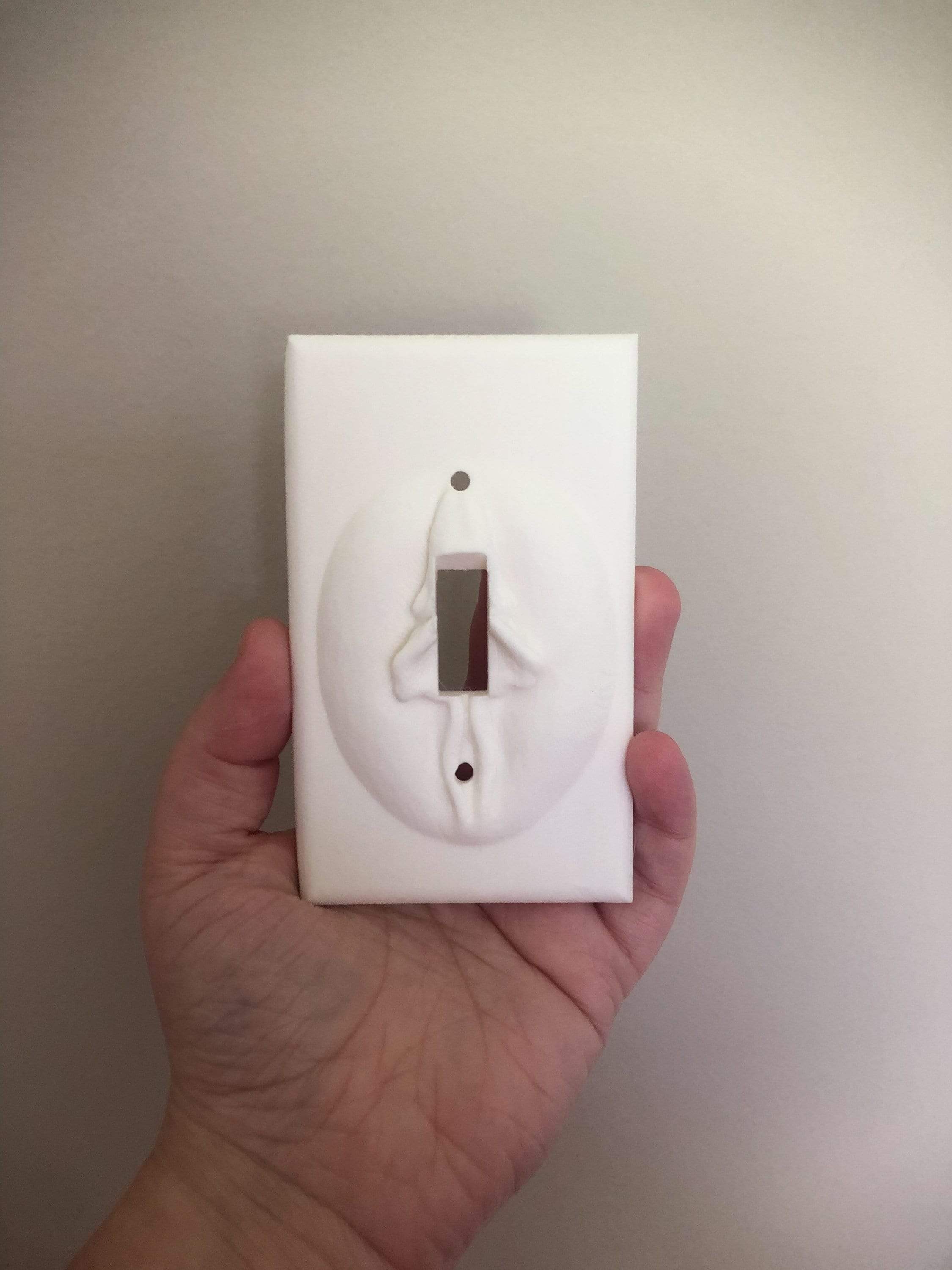 CMbeautifuldesigns - Vente Couvercle/plaque pour interrupteur d'éclairage - Plaque d'interrupteur de lumière vaginale0