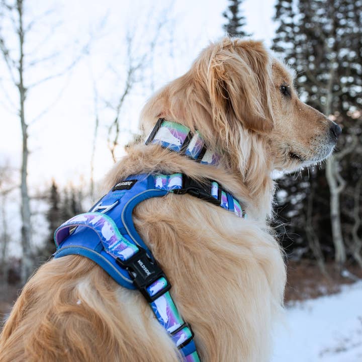 Wildside Dog Gear - Wholesale Pet Harness - Dog - Aurora Polar Bear Adjustable Dog Harness 3