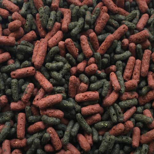 Amtra - Wholesale Pet Food - Dog - Fish food - Pro Soft Stick Feed - Amtra1