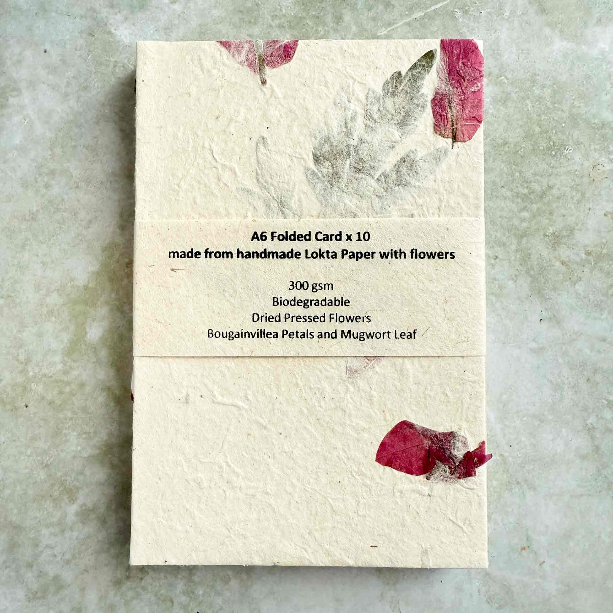 The Natural Paper Company – Conjunto de notas por atacado – Papel e Envelopes Artesanais de Lokta do Nepal - Artemísia & Buganvília5